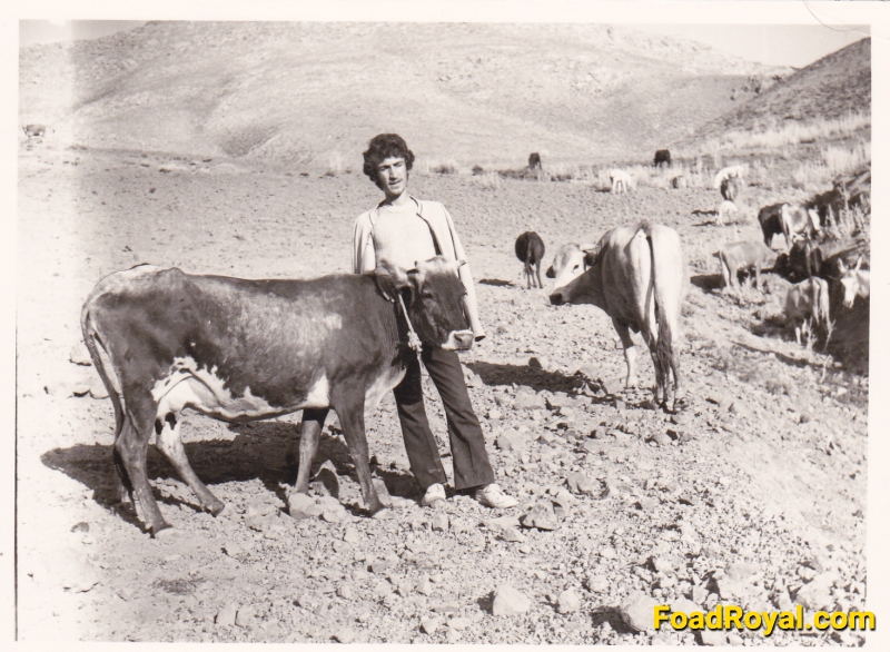 زبان حيوانات